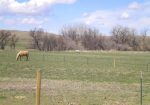 10 Acre Lot in Belle View Acres – Belle Fourche