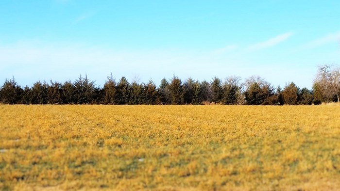 140 Acre Irrigated Farm Land – Vale