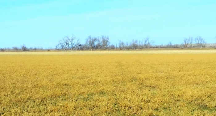 140 Acre Irrigated Farm Land – Vale