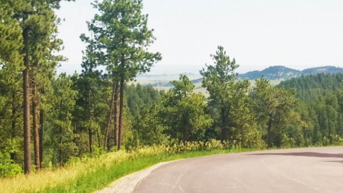 2 Acre Wooded Lot in Eagle Ridge II – Spearfish