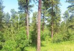 2 Acre Wooded Lot in Eagle Ridge II – Spearfish