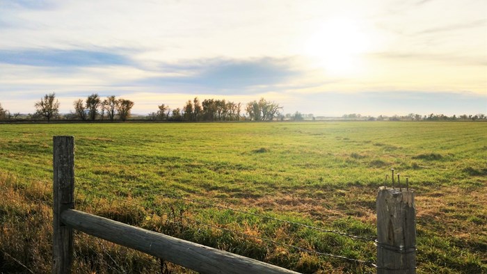 117 Acre Farm with Ranch Home – Vale