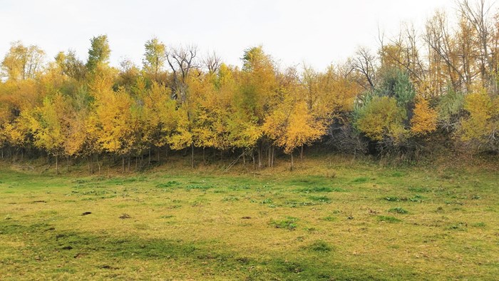 117 Acre Farm with Ranch Home – Vale