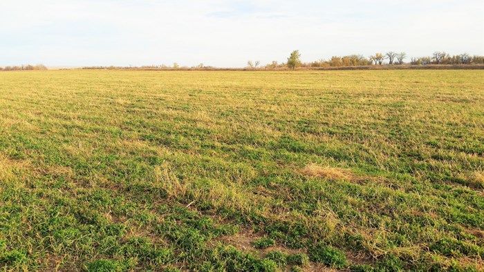 117 Acre Farm with Ranch Home – Vale