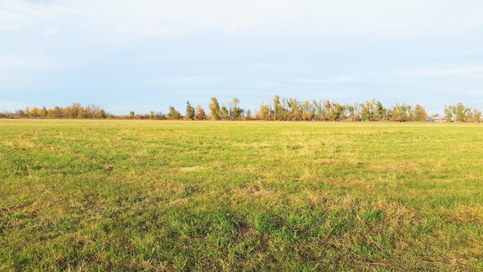 117 Acre Farm with Ranch Home – Vale