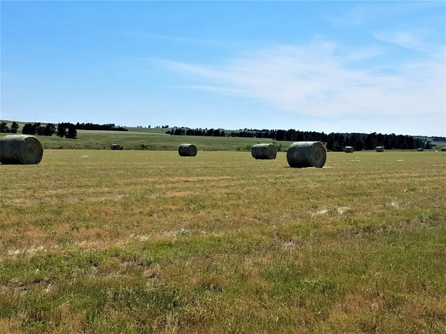 3 Bed Ranch Home on 160 Acres – Belle Fourche