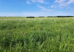 160 Acre Ranchette with Home – Belle Fourche
