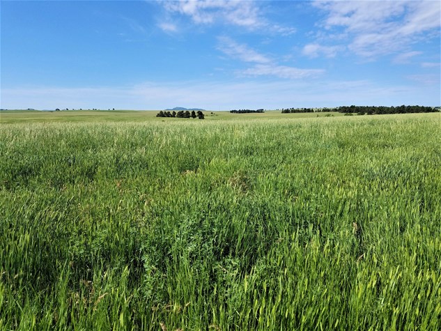 160 Acre Ranchette with Home – Belle Fourche