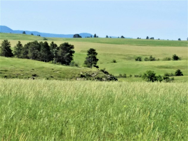 160 Acre Ranchette with Home – Belle Fourche