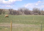 40 Acre Land in Belle View Acres – Belle Fourche