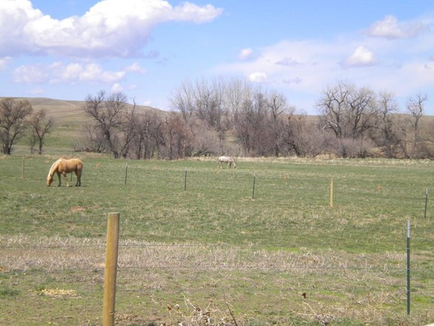 40 Acre Land in Belle View Acres – Belle Fourche